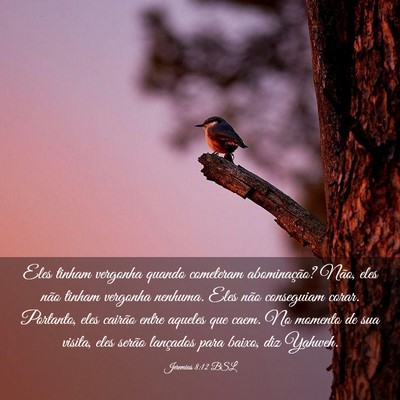 Picture 03 - Jeremias 8:12 BSL - Eles tinham vergonha quando cometeram - Bible Verse Picture