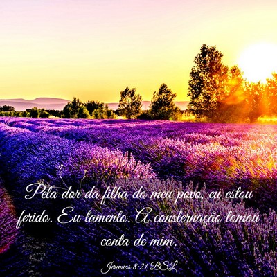 Picture 03 - Jeremias 8:21 BSL - Pela dor da filha do meu povo, eu estou ferido. - Bible Verse Picture