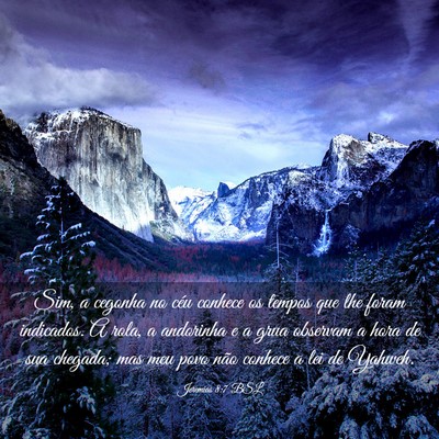 Picture 03 - Jeremias 8:7 BSL - Sim, a cegonha no céu conhece os tempos que lhe - Bible Verse Picture