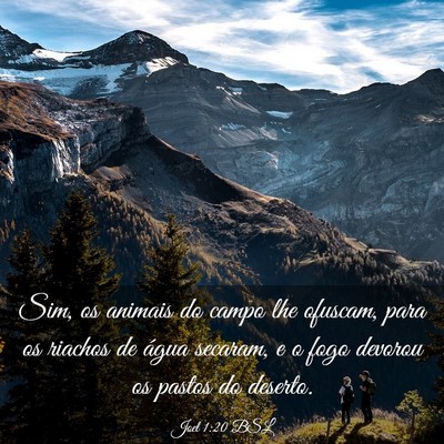 Picture 03 - Joel 1:20 BSL - Sim, os animais do campo lhe ofuscam, para os - Bible Verse Picture
