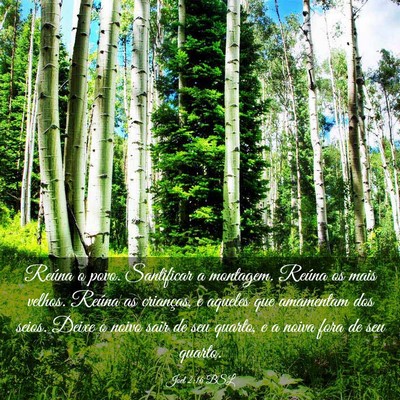 Picture 03 - Joel 2:16 BSL - Reúna o povo. Santificar a montagem. Reúna os - Bible Verse Picture