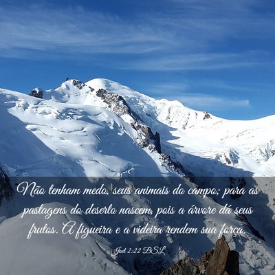 Picture 03 - Joel 2:22 BSL - Não tenham medo, seus animais do campo; para as - Bible Verse Picture
