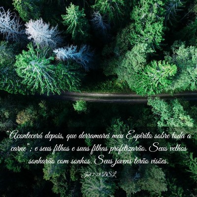 Picture 03 - Joel 2:28 BSL - “Acontecerá depois, que derramarei meu - Bible Verse Picture