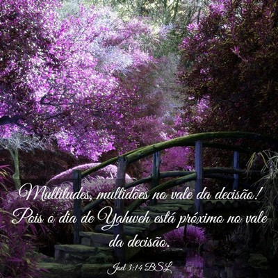 Picture 03 - Joel 3:14 BSL - Multitudes, multidões no vale da decisão! Pois - Bible Verse Picture
