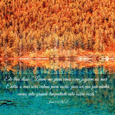 Picture 03 - Jonas 1:12 BSL - Ele lhes disse: “Levem-me para cima e me joguem - Bible Verse Picture