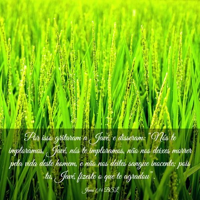 Picture 03 - Jonas 1:14 BSL - Por isso gritaram a Javé, e disseram: “Nós te - Bible Verse Picture