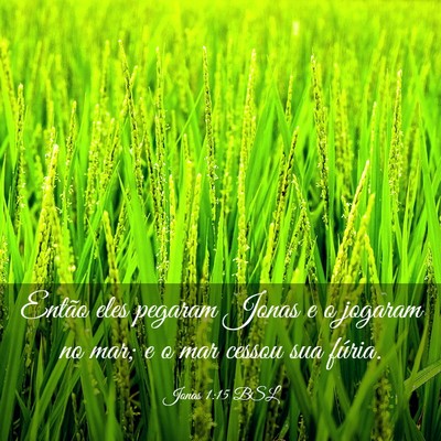 Picture 03 - Jonas 1:15 BSL - Então eles pegaram Jonas e o jogaram no mar; e o - Bible Verse Picture