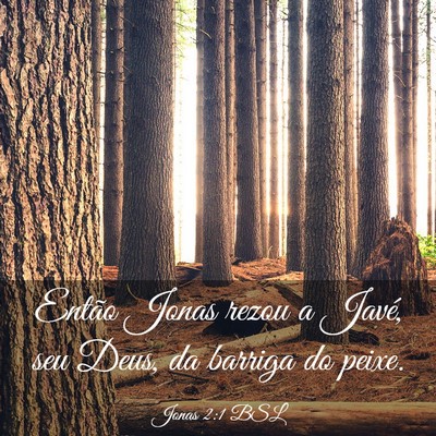 Picture 03 - Jonas 2:1 BSL - Então Jonas rezou a Javé, seu Deus, da barriga - Bible Verse Picture