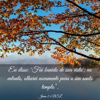 Picture 03 - Jonas 2:4 BSL - Eu disse: 'Fui banido de sua vista'; no entanto, - Bible Verse Picture