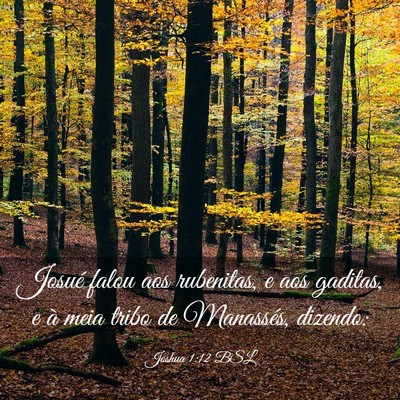 Picture 03 - Joshua 1:12 BSL - Josué falou aos rubenitas, e aos gaditas, e à - Bible Verse Picture