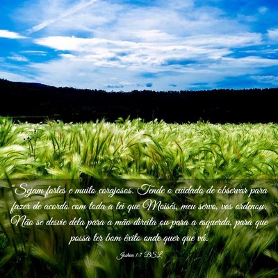 Picture 03 - Joshua 1:7 BSL - “Sejam fortes e muito corajosos. Tende o - Bible Verse Picture