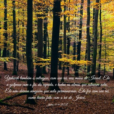 Picture 03 - Joshua 10:30 BSL - Yahweh também o entregou, com seu rei, nas mãos - Bible Verse Picture