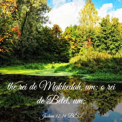 Picture 03 - Joshua 12:16 BSL - the rei de Makkedah, um; o rei de Betel, - Bible Verse Picture