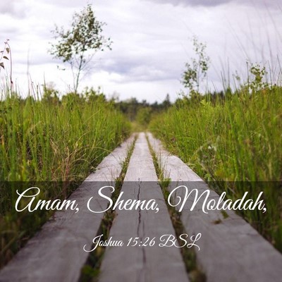Picture 03 - Joshua 15:26 BSL - Amam, Shema, - Bible Verse Picture