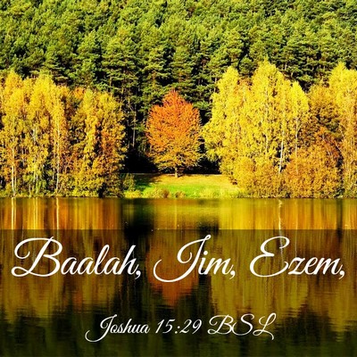 Picture 03 - Joshua 15:29 BSL - Baalah, Iim, - Bible Verse Picture