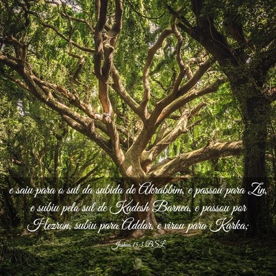 Picture 03 - Joshua 15:3 BSL - e saiu para o sul da subida de Akrabbim, e passou - Bible Verse Picture