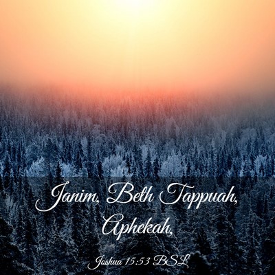 Picture 03 - Joshua 15:53 BSL - Janim, Beth Tappuah, - Bible Verse Picture