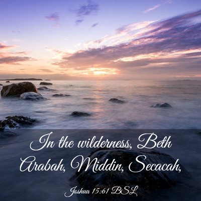 Picture 03 - Joshua 15:61 BSL - In the wilderness, Beth Arabah, Middin, - Bible Verse Picture