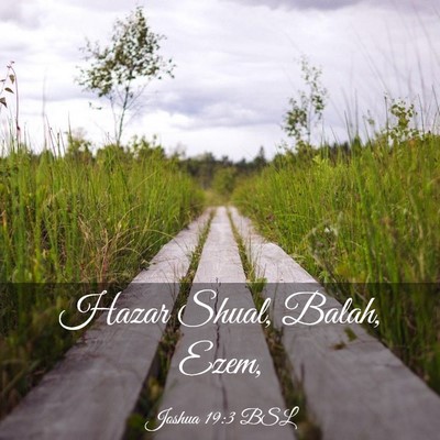 Picture 03 - Joshua 19:3 BSL - Hazar Shual, Balah, - Bible Verse Picture