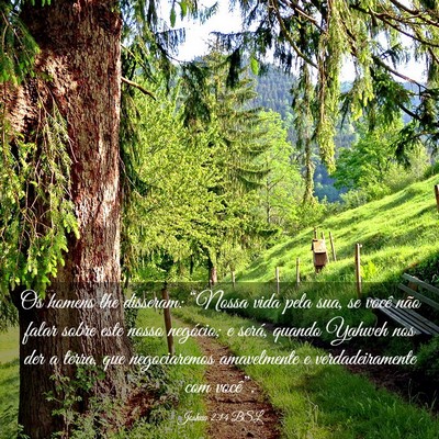 Picture 03 - Joshua 2:14 BSL - Os homens lhe disseram: “Nossa vida pela sua, - Bible Verse Picture