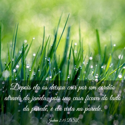 Picture 03 - Joshua 2:15 BSL - Depois ela os deixou cair por um cordão através - Bible Verse Picture