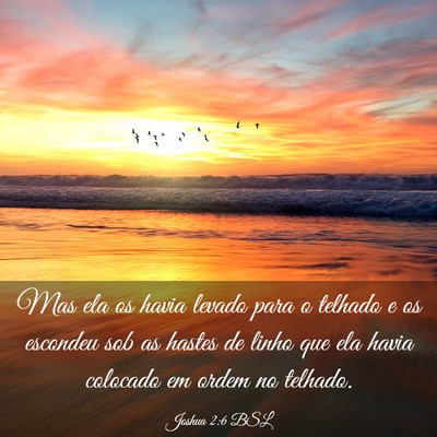 Picture 03 - Joshua 2:6 BSL - Mas ela os havia levado para o telhado e os - Bible Verse Picture