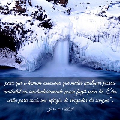 Picture 03 - Joshua 20:3 BSL - para que o homem assassino que matar qualquer - Bible Verse Picture