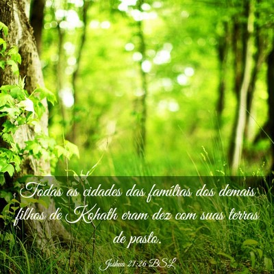 Picture 03 - Joshua 21:26 BSL - Todas as cidades das famílias dos demais filhos - Bible Verse Picture