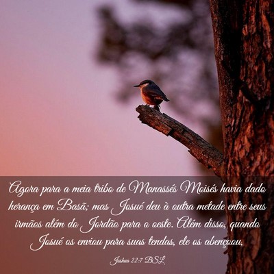 Picture 03 - Joshua 22:7 BSL - Agora para a meia tribo de Manassés Moisés - Bible Verse Picture