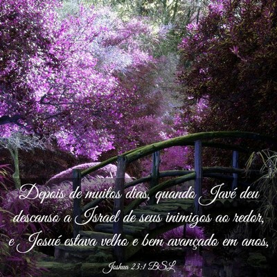 Picture 03 - Joshua 23:1 BSL - Depois de muitos dias, quando Javé deu descanso - Bible Verse Picture