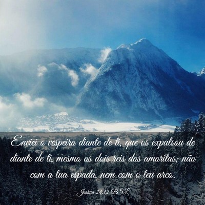 Picture 03 - Joshua 24:12 BSL - Enviei o vespeiro diante de ti, que os expulsou - Bible Verse Picture