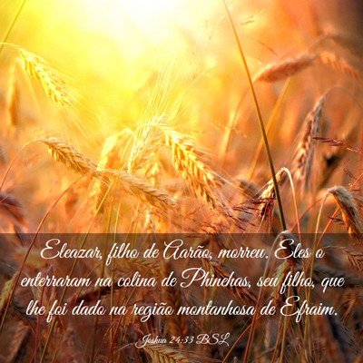 Picture 03 - Joshua 24:33 BSL - Eleazar, filho de Aarão, morreu. Eles o - Bible Verse Picture