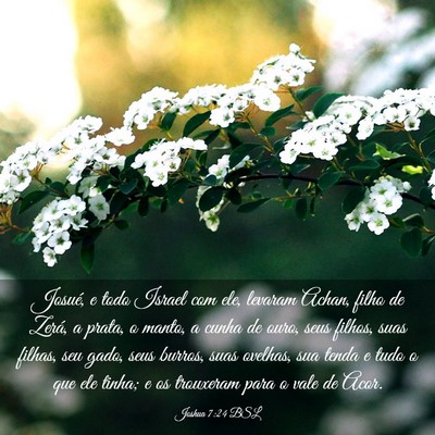 Picture 03 - Joshua 7:24 BSL - Josué, e todo Israel com ele, levaram Achan, - Bible Verse Picture