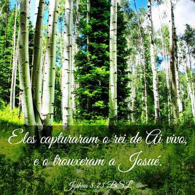 Picture 03 - Joshua 8:23 BSL - Eles capturaram o rei de Ai vivo, e o trouxeram a - Bible Verse Picture