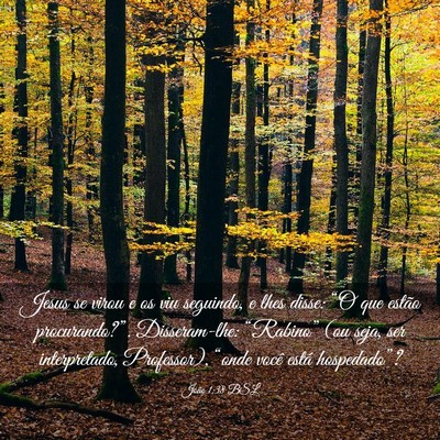 Picture 03 - João 1:38 BSL - Jesus se virou e os viu seguindo, e lhes disse: - Bible Verse Picture