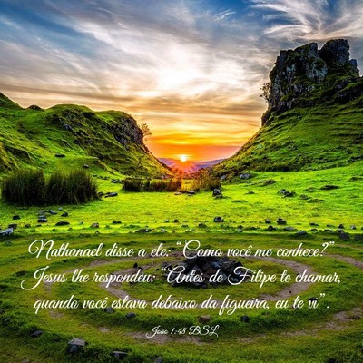 Picture 03 - João 1:48 BSL - Nathanael disse a ele: “Como você me - Bible Verse Picture