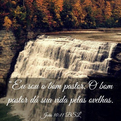Picture 03 - João 10:11 BSL - “Eu sou o bom pastor. O bom pastor dá sua vida - Bible Verse Picture
