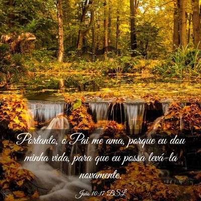 Picture 03 - João 10:17 BSL - Portanto, o Pai me ama, porque eu dou minha vida, - Bible Verse Picture