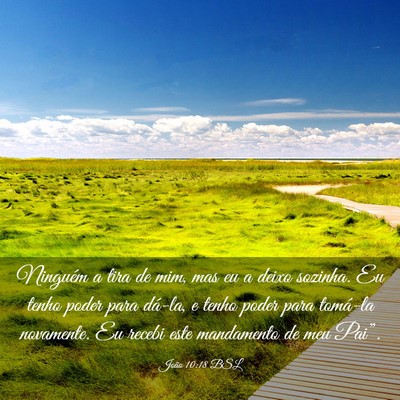 Picture 03 - João 10:18 BSL - Ninguém a tira de mim, mas eu a deixo sozinha. - Bible Verse Picture