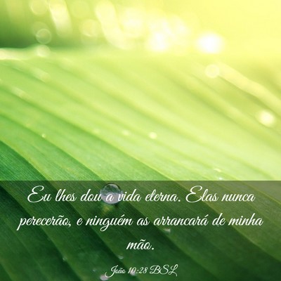 Picture 03 - João 10:28 BSL - Eu lhes dou a vida eterna. Elas nunca perecerão, - Bible Verse Picture