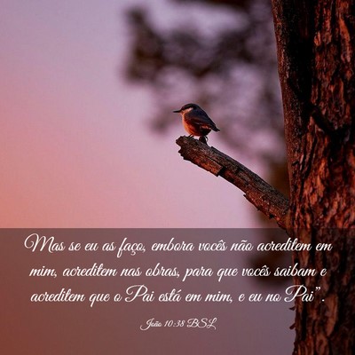 Picture 03 - João 10:38 BSL - Mas se eu as faço, embora vocês não acreditem - Bible Verse Picture