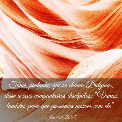 Picture 03 - João 11:16 BSL - Tomé, portanto, que se chama Didymus, disse a - Bible Verse Picture
