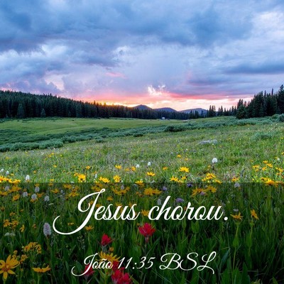 Picture 03 - João 11:35 BSL - Jesus - Bible Verse Picture