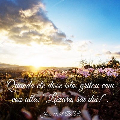 Picture 03 - João 11:43 BSL - Quando ele disse isto, gritou com voz alta: - Bible Verse Picture