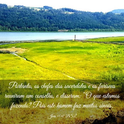 Picture 03 - João 11:47 BSL - Portanto, os chefes dos sacerdotes e os fariseus - Bible Verse Picture