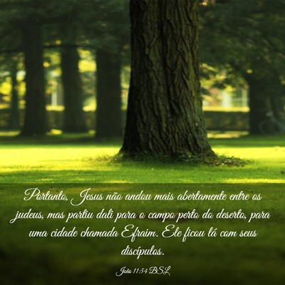 Picture 03 - João 11:54 BSL - Portanto, Jesus não andou mais abertamente entre - Bible Verse Picture