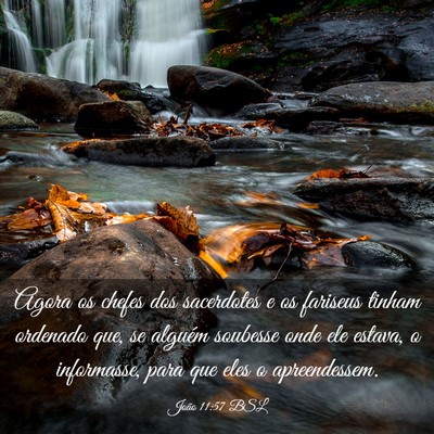 Picture 03 - João 11:57 BSL - Agora os chefes dos sacerdotes e os fariseus - Bible Verse Picture