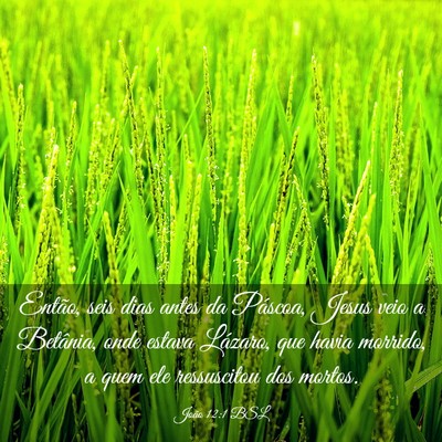 Picture 03 - João 12:1 BSL - Então, seis dias antes da Páscoa, Jesus veio a - Bible Verse Picture