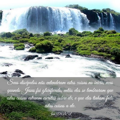 Picture 03 - João 12:16 BSL - Seus discípulos não entenderam estas coisas no - Bible Verse Picture