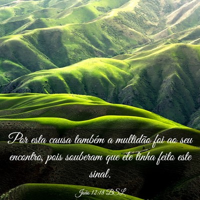 Picture 03 - João 12:18 BSL - Por esta causa também a multidão foi ao seu - Bible Verse Picture